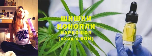 ГАЛЛЮЦИНОГЕННЫЕ ГРИБЫ Новозыбков