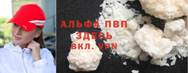 ГАЛЛЮЦИНОГЕННЫЕ ГРИБЫ Новозыбков