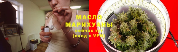 ГАЛЛЮЦИНОГЕННЫЕ ГРИБЫ Новозыбков