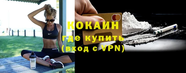 ГАЛЛЮЦИНОГЕННЫЕ ГРИБЫ Новозыбков