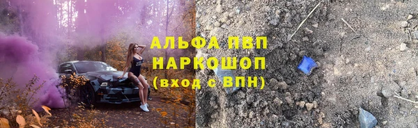 ГАЛЛЮЦИНОГЕННЫЕ ГРИБЫ Новозыбков