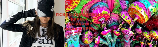 ГАЛЛЮЦИНОГЕННЫЕ ГРИБЫ Новозыбков